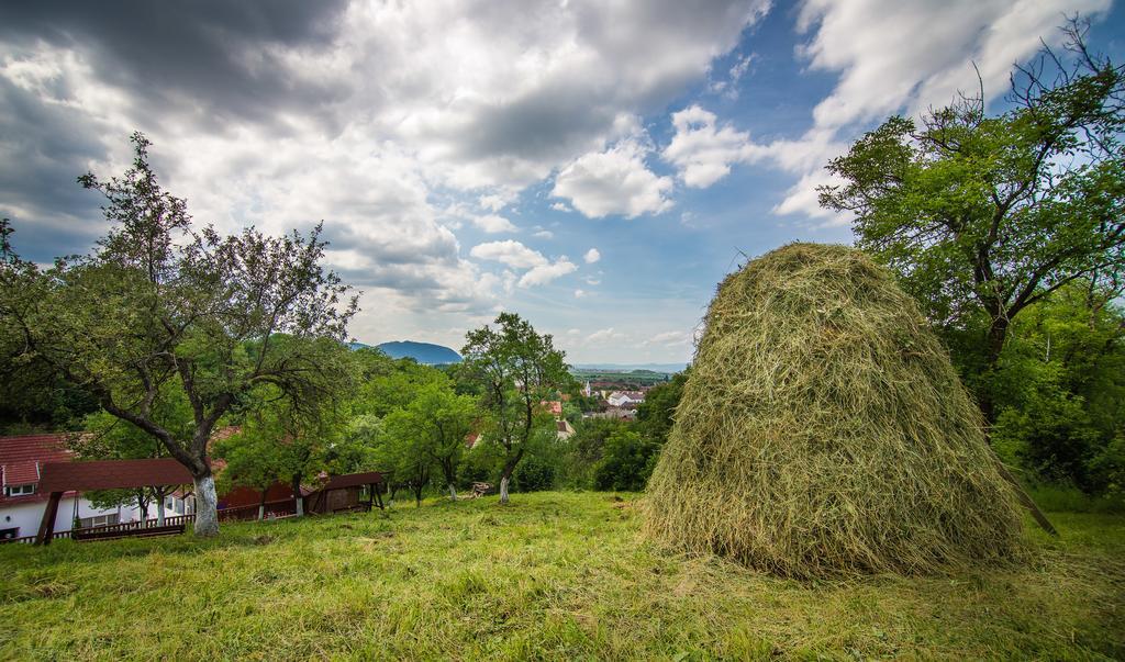 Pensiunea Tinelu Brasov Săcele Exterior foto