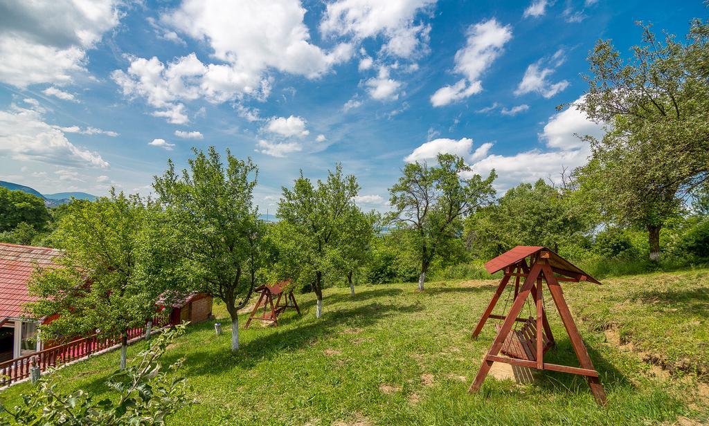 Pensiunea Tinelu Brasov Săcele Exterior foto
